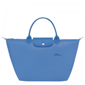 Longchamp Le Pliage Green M Handbag Cornflower | 16092-PIFB