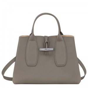 Longchamp Le Roseau M Handbag Turtledove | 15370-NMVC