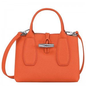 Longchamp Le Roseau S Handbag Turuncu | 58769-MKLR