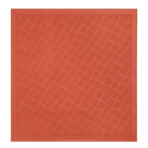 Longchamp Le Roseau Shawl Paprika | 69785-SNBJ