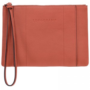 Longchamp Longchamp 3d Pouch Sienna | 86375-MPLO