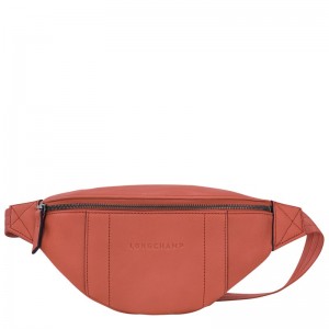 Longchamp Longchamp 3d S Belt Bag Sienna | 02967-UHSX