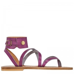 Longchamp Longchamp X K.Jacques Sandals Violet | 14685-SDHK