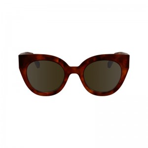 Longchamp Sunglasses Kahverengi | 30481-NSXU