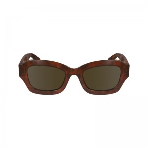 Longchamp Sunglasses Kahverengi | 57860-IPRS