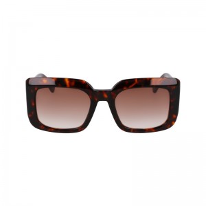 Longchamp Sunglasses Koyu | 06731-JQNG