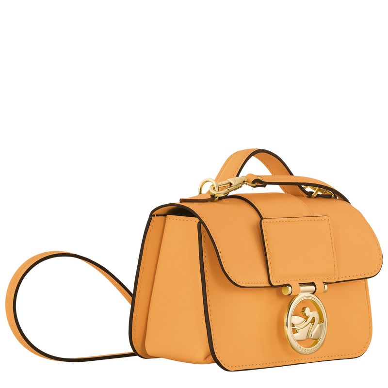 Longchamp Box-trot Xs Crossbody Bag Kayısı Rengi | 32108-SKGR