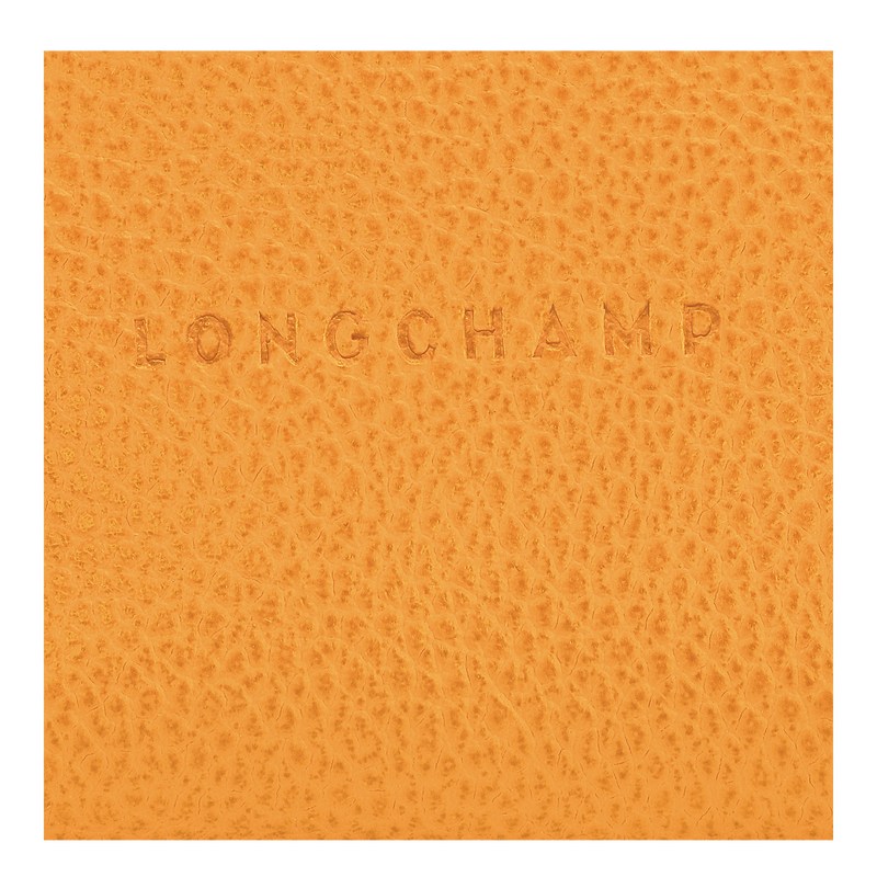 Longchamp Le Foulonné Coin Purse Kayısı Rengi | 75091-IDEF