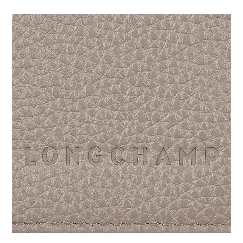 Longchamp Le Foulonné Passport Cover Turtledove | 24583-EDCT