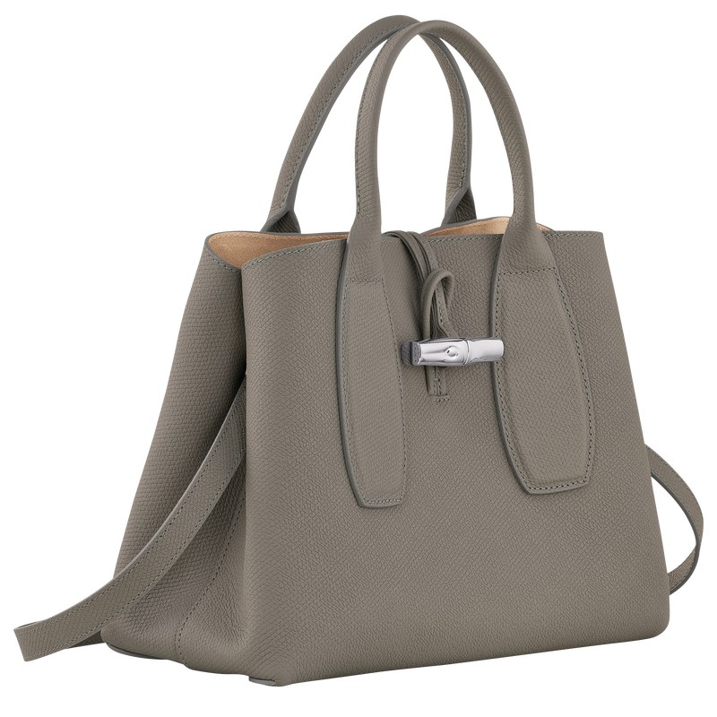 Longchamp Le Roseau M Handbag Turtledove | 15370-NMVC