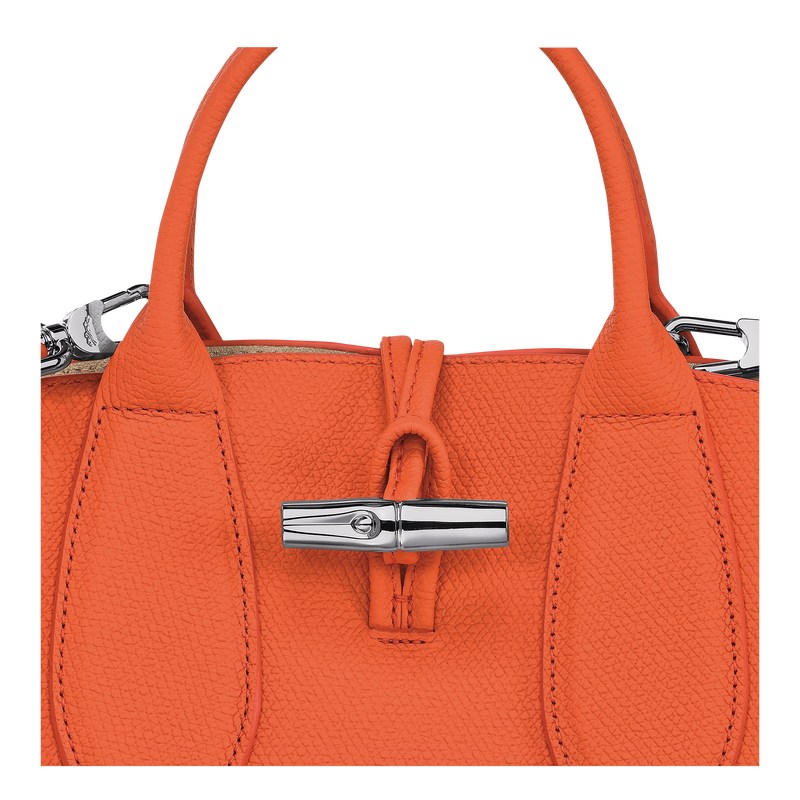 Longchamp Le Roseau S Handbag Turuncu | 58769-MKLR