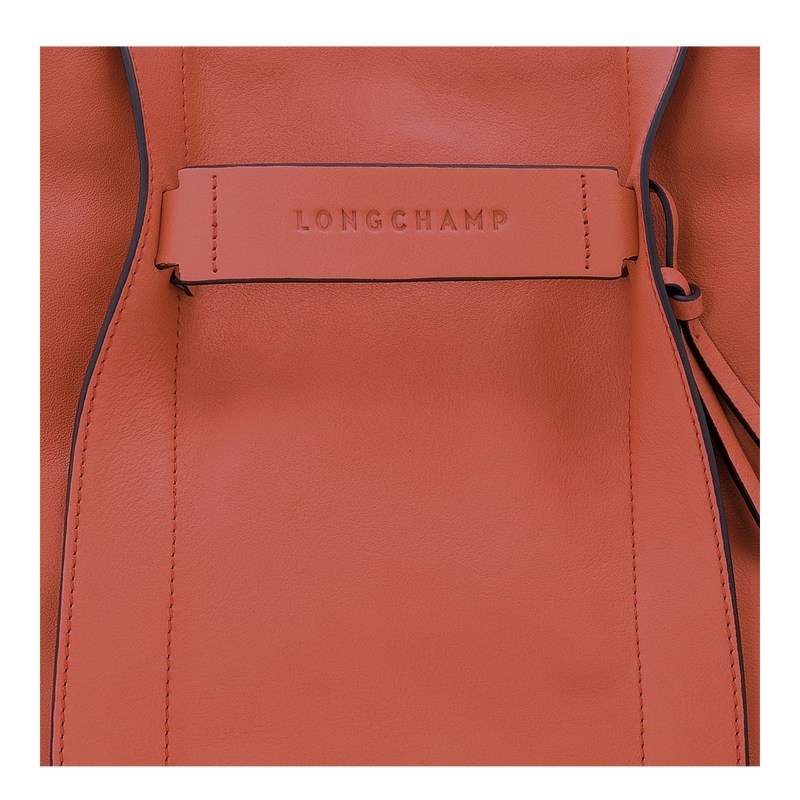 Longchamp Longchamp 3d M Hobo Bag Sienna | 256-KFTIBR