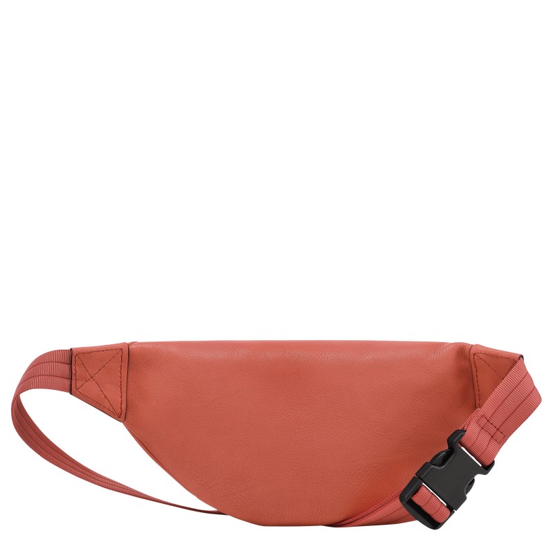 Longchamp Longchamp 3d S Belt Bag Sienna | 53840-ACUT