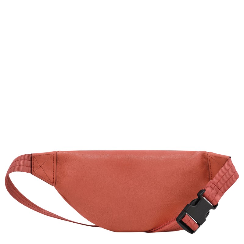 Longchamp Longchamp 3d S Belt Bag Sienna | 02967-UHSX