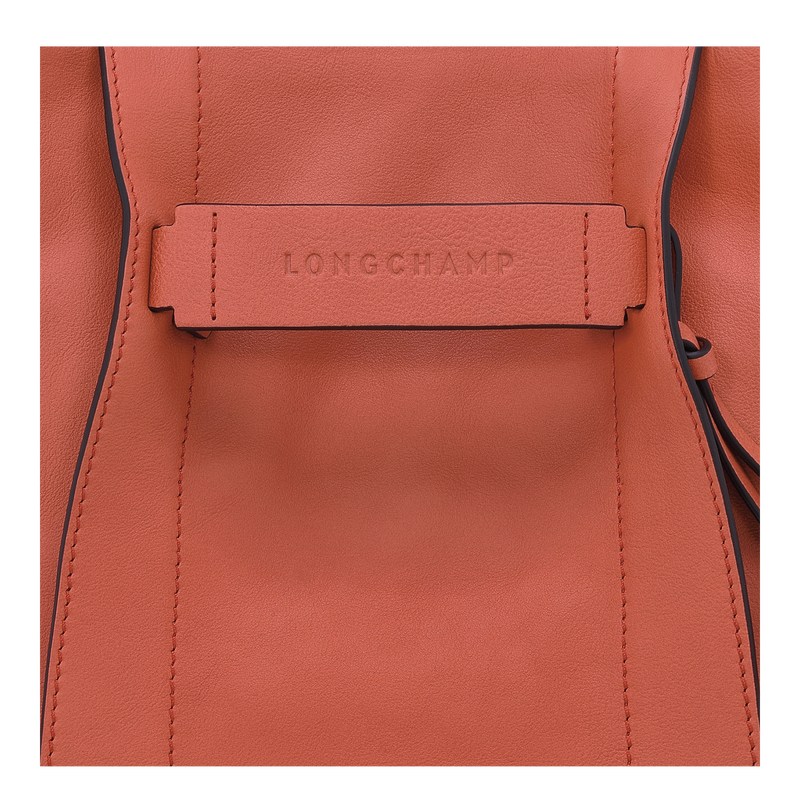 Longchamp Longchamp 3d S Crossbody Bag Sienna | 124-HKRLOJ