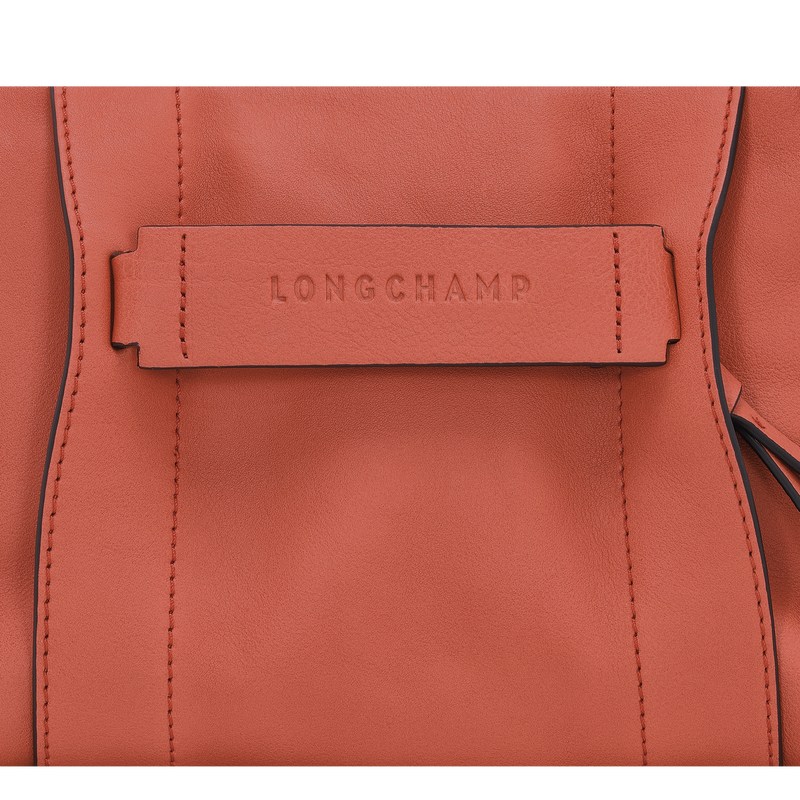 Longchamp Longchamp 3d S Crossbody Bag Sienna | 72536-GLWR