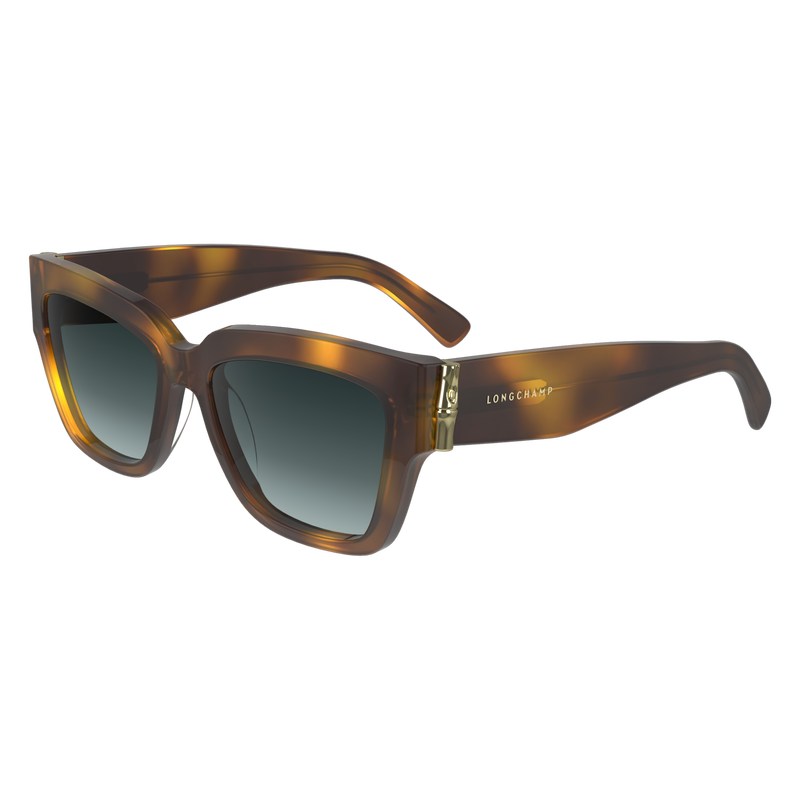 Longchamp Sunglasses Havana | 98571-PZMW