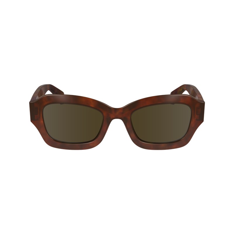 Longchamp Sunglasses Kahverengi | 57860-IPRS