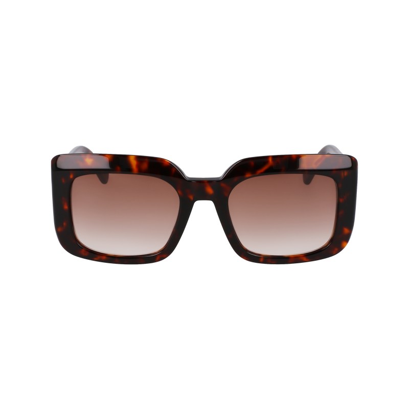 Longchamp Sunglasses Koyu | 06731-JQNG