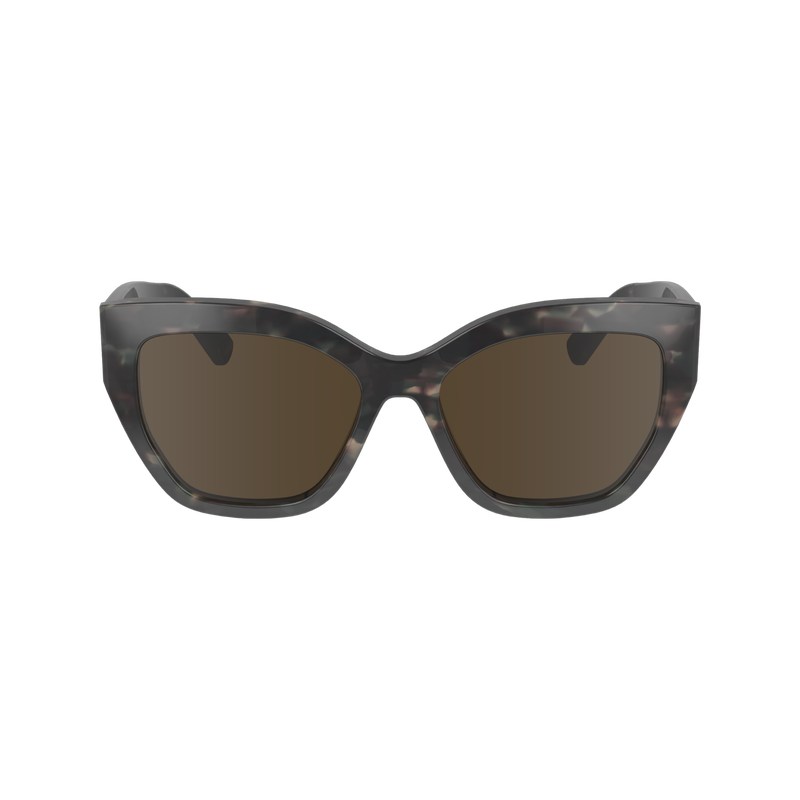 Longchamp Sunglasses Yeşil | 70856-GJSV